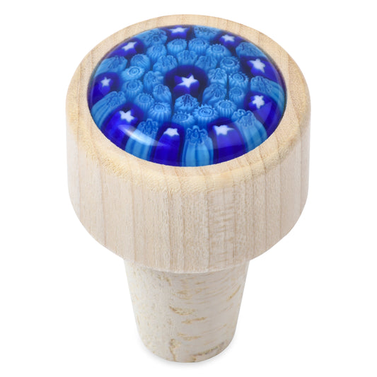 Leakproof Wine Stopper (BLUE)